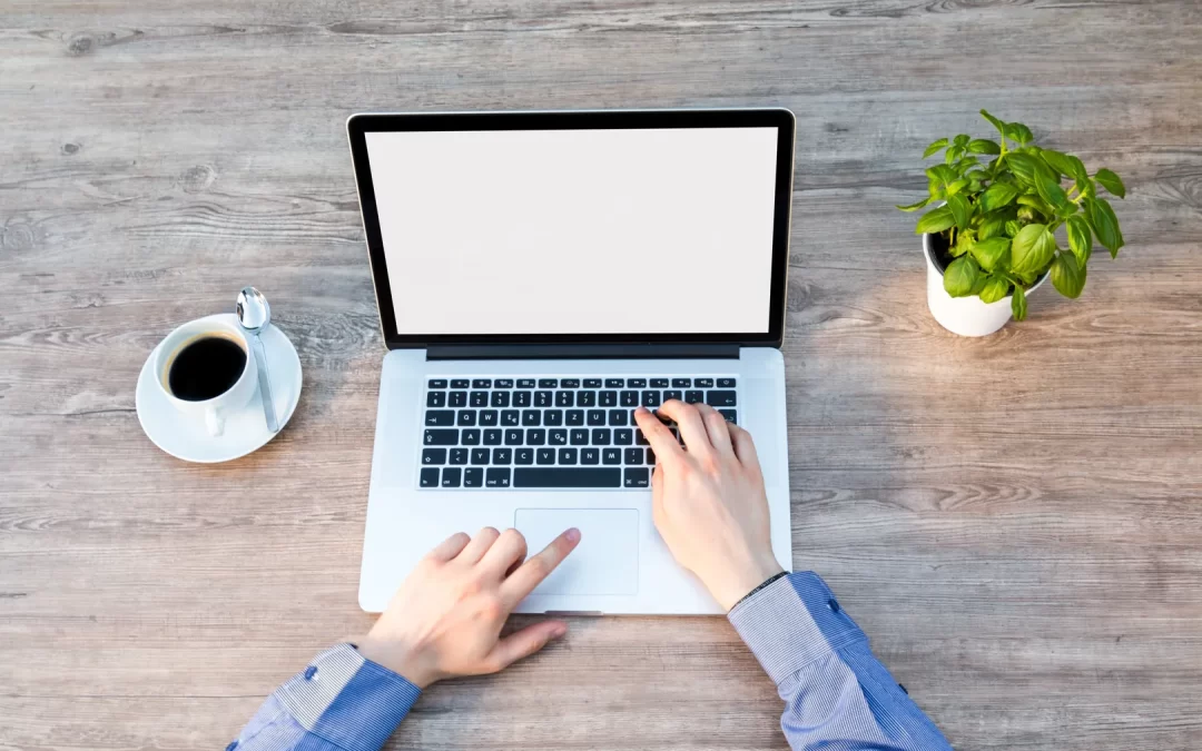 web development