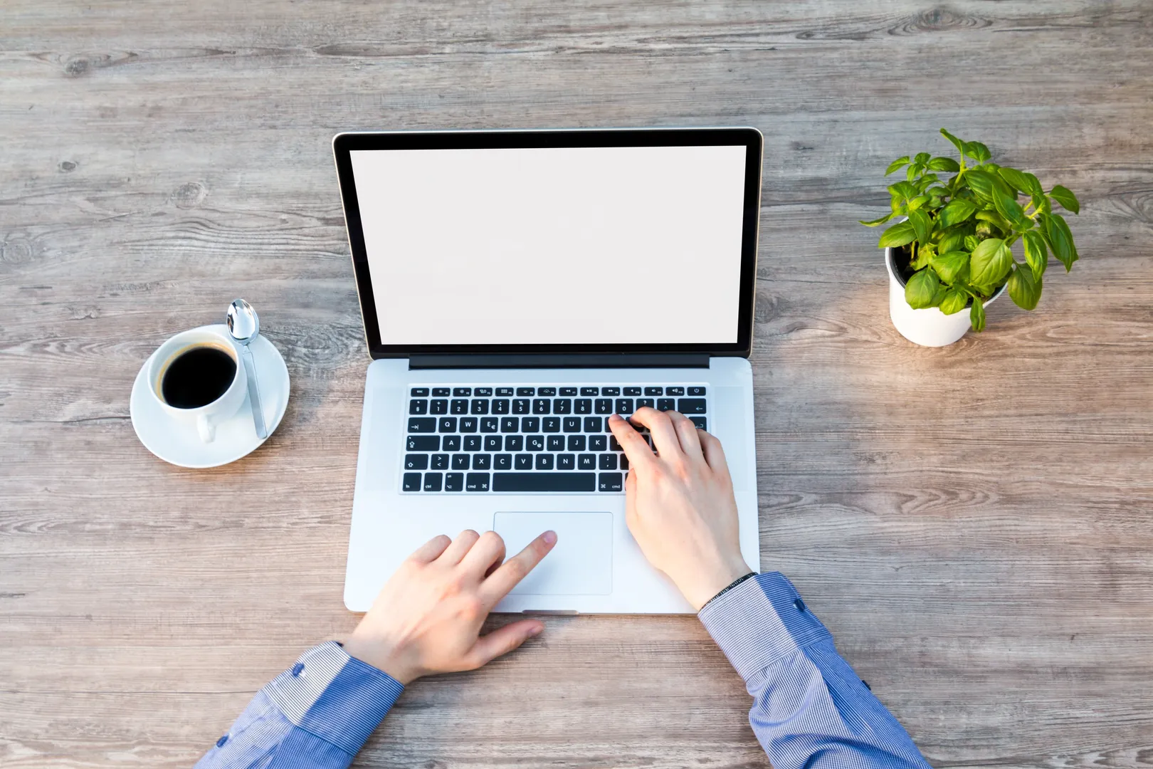 web development